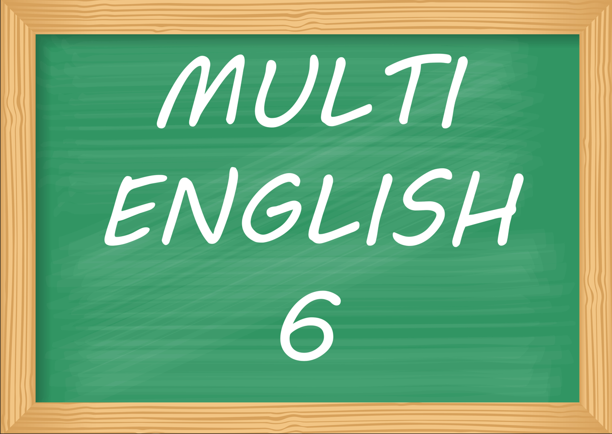 MULTI ENGLISH 6 - THEME 1